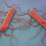 Brote de listeria deja 3 muertos en el estado de Washington