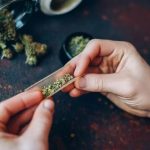 Consumo en exceso de marihuana podría dañar el corazón