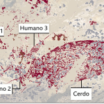 Hallazgo arqueológico increíble: las pinturas más antiguas jamás encontradas