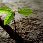 El Valor de la Resiliencia