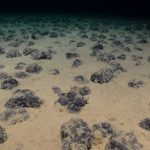 Han descubierto “oxígeno oscuro” generado en las profundidades marinas