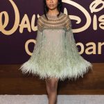Skai Jackson, Actriz de Disney, No Enfrentará Cargos por Violencia Doméstica por «Falta de Evidencias»