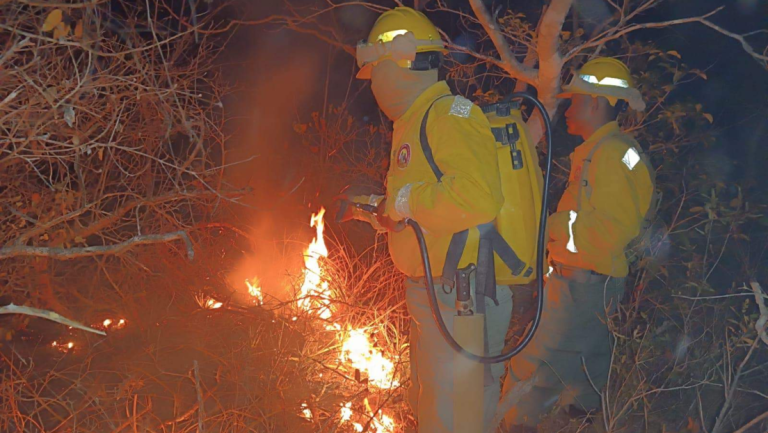 Bolivia-declara-emergencia-nacional-por-los-intensos-incendios-forestales