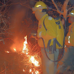 “Bolivia declara emergencia nacional debido a los intensos incendios forestales”