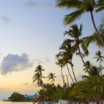 «Punta Cana acogerá en octubre la Cumbre de Turismo de la ONU para África y las Américas»