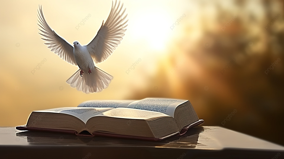 pngtree-a-dove-over-the-bible-and-cross-image_10202664