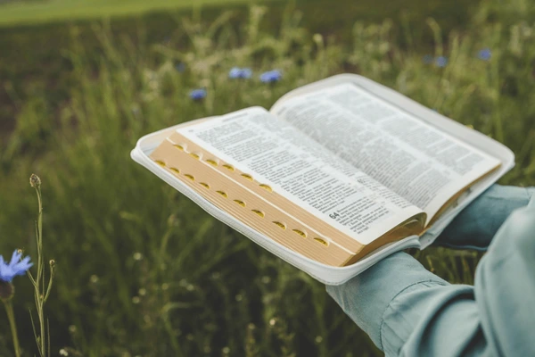 open-bible-hands-closeup-concept-600nw-2480308185.jpg