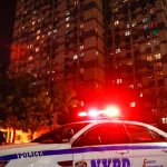 Madre fue apuñalada fatalmente en disputa doméstica en Brooklyn, hijo detenido como persona de interés