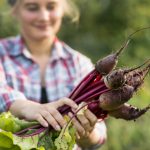 La Remolacha: Un Alimento Rico en Nutrientes y Versatilidad