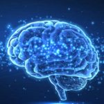 La Colina y su Papel en la Mejora de la Memoria