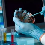 Investigación Pionera: Manipulación de Proteínas para Tratar Cáncer e Infecciones Resistentes