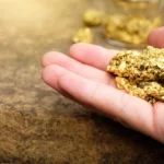 «Optimus y Tesla: Liderando la Revolución de la IA»