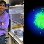 Células en Danza: La Magia de la Acústica