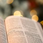 Versículo del Día: Proverbios 3:5-6