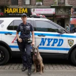 Nueva York refuerza fiscalías con $17 millones adicionales para combatir el crimen