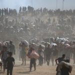 Gaza en Crisis: 27 Civiles Mueren Buscando Alimentos