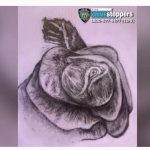 NYPD Pide Ayuda para Identificar a Mujer Encontrada Muerta en Bolsa de Basura en Queens