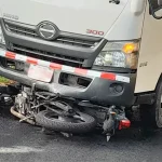 Chofer dominicano atropella y mata a un policía del NYPD en la BQE