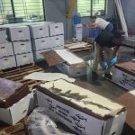RD: Frustran intento de tráfico de drogas: 58 kilos de cocaína incautados en el Aeropuerto del Cibao