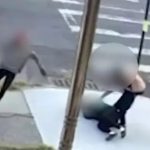 Bronx en estado de alerta: Adolescentes golpean a niña con epilepsia y hieren a su perro; policía investiga