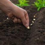 «Hoy es tu día: Cómo elegir amor y gratitud en un mundo lleno de prisa»