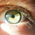 «Inyección de lípidos complejos podría ser la clave para tratar la pérdida de visión por envejecimiento»