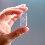 «La NASA enviará ‘clones biológicos’ de los astronautas al espacio en la misión Artemis 2»