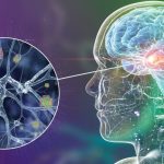 «Avance científico sin precedentes: Localizan las proteínas que desencadenan el Párkinson»