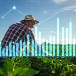 Economía dominicana crece 2.2% en 2025, con agro, minería y turismo como pilares