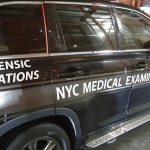 «Hallazgo macabro en Nueva York: Restos humanos en basura; investigan violencia doméstica»