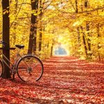 «Estudio revela que 30 minutos de movimiento diario mejoran la salud metabólica»