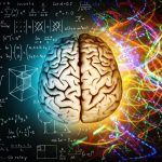 La creatividad como elixir de juventud cerebral: Estudio revela beneficios sorprendentes