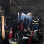 Bomberos dominicanos: 161 animales rescatados en 2025 gracias a su Unidad de Rescate Animal