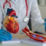 «Prevención cardiovascular: 3 hábitos naturales para evitar obstrucciones arteriales y vivir más años»