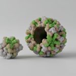 «Aumento de norovirus en aguas residuales de EE.UU.: ¿Qué deben saber los dominicanos?»