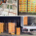 «DEA desmantela operación del Cartel de Sinaloa: 130 kilos de metanfetamina en camión de frutas»