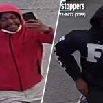 «Menor dominicano apuñalado en autobús de El Bronx: Autoridades buscan a dos sospechosos»