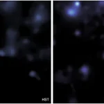 «El telescopio James Webb desvela el papel oculto de la materia oscura en la evolución del Universo»