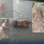 RD: Crisis en Elías Piña: Hallazgo de mujeres sin cabeza despierta temor y exige acción urgente