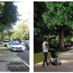 NYC DOT Y LA PROSPECT PARK ALLIANCE INICIAN LAS OBRAS DE MEJORAS TRANSFORMADORAS EN EL PERÍMETRO ESTE DEL PARQUE