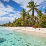 Isla Saona alberga la mejor playa del Caribe y una de las más bellas del mundo