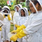 Samsung y el Día Mundial de la Tierra: Jóvenes latinos innovan con tecnología verde en «Solve for Tomorrow»