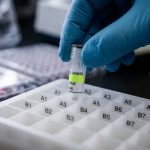 «Hantavirus en crucero MV Hondius: OMS reporta 5 casos confirmados y investiga origen en el Cono Sur»