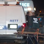 «Nueva York en Shock: Adolescente de 17 Años Acusado de Asesinar a un Turista en un Ataque Vinculado a un Reto de TikTok»