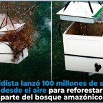 «Reforestación aérea: El proyecto que sembró 100 millones de árboles en la Amazonía»