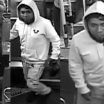 Alerta en El Bronx: Dos menores abusadas en parques; NYPD busca a un sospechoso prófugo»