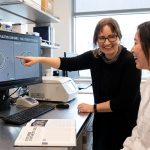 «Spudcell: La ‘célula sintética’ que se replica y evoluciona, pero con ayuda humana»