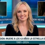 «Slaine Kelly, la estrella de Los Tudor, fallece a los 43 años: Un legado de arte y activismo»
