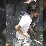 «NYPD busca a sospechosos de robos violentos a ancianos en Queens: Uno robó $1,300 a golpes»