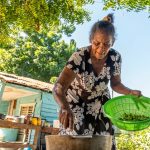 «República Dominicana logra salir del mapa del hambre de la FAO: ¿Cómo lo hizo?»